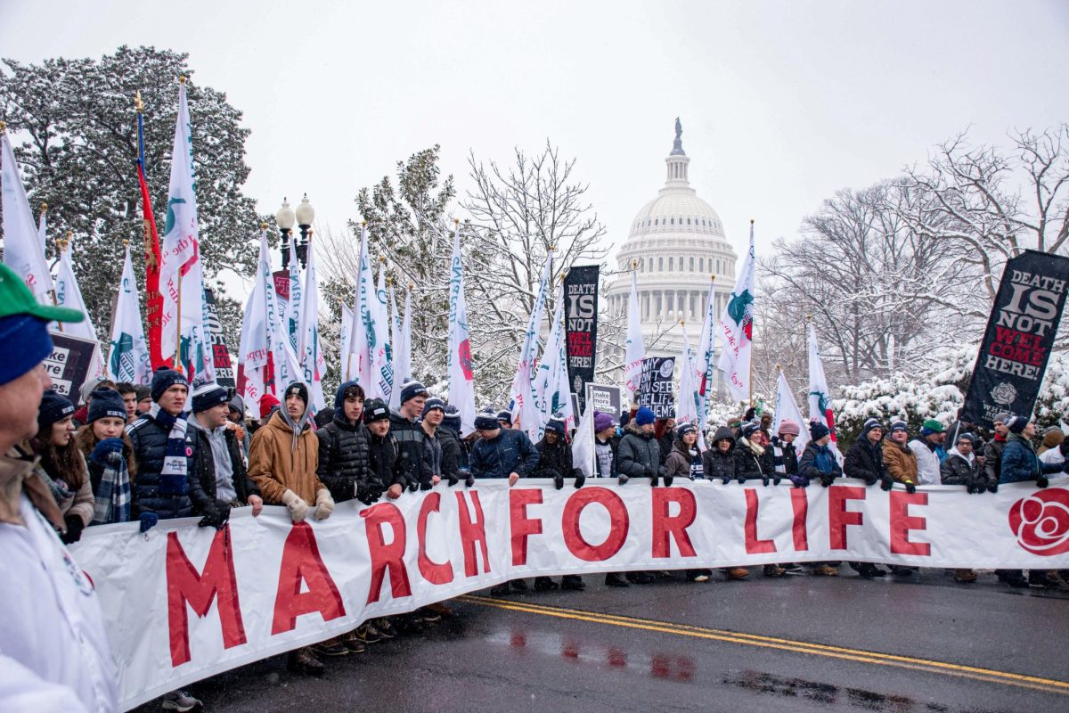 Demonstrators push down the National Mall behind a March for Life banner.